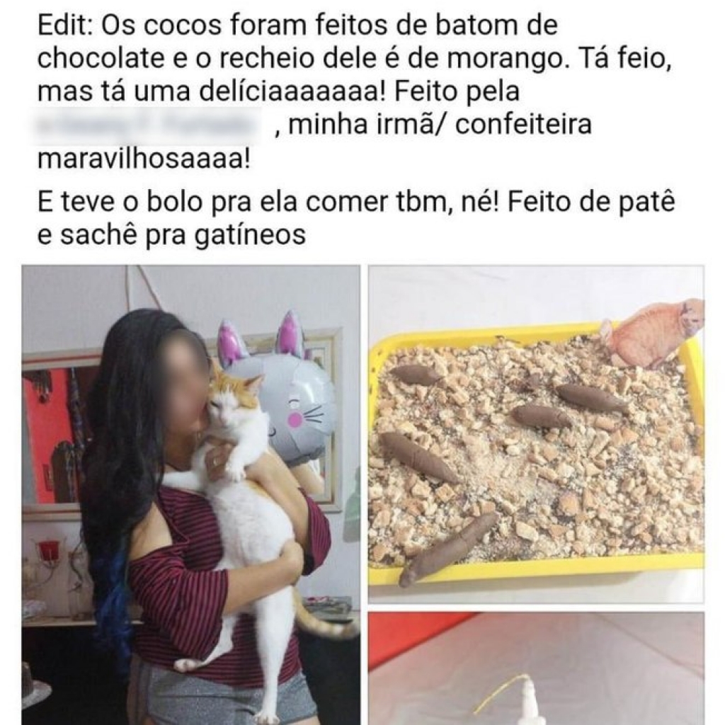 Bolo de aniversário de gata em formato de caixa de areia viraliza