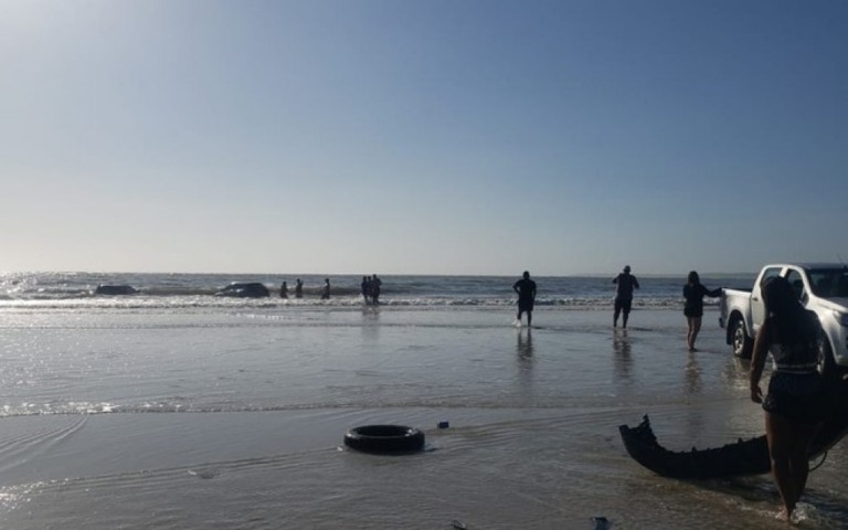 Maré sobe e engole carros em praia conhecida no Pará; veja
