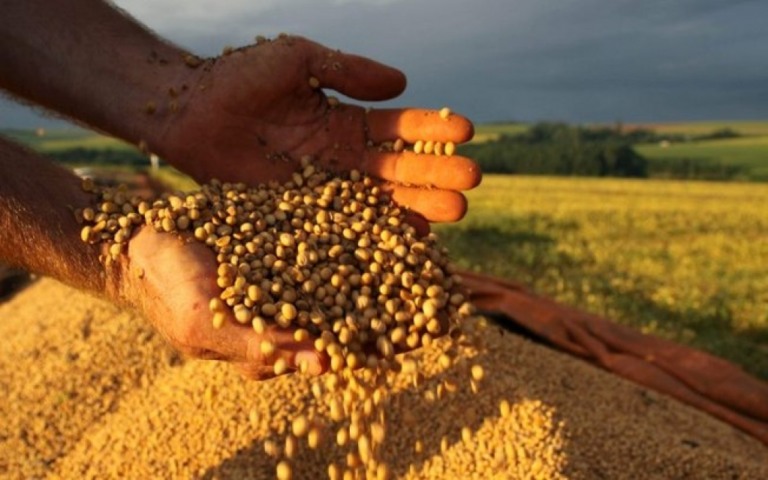 Pandemia pode afetar distribuição de alimentos na América Latina, diz estudo