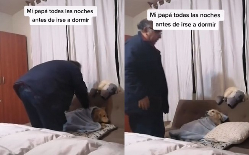 Pai que não queria ter cachorro viraliza com vídeo colocando cão para dormir