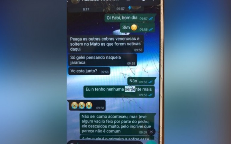 Professora de estudante picado por naja orientou que cobras fossem soltas no DF