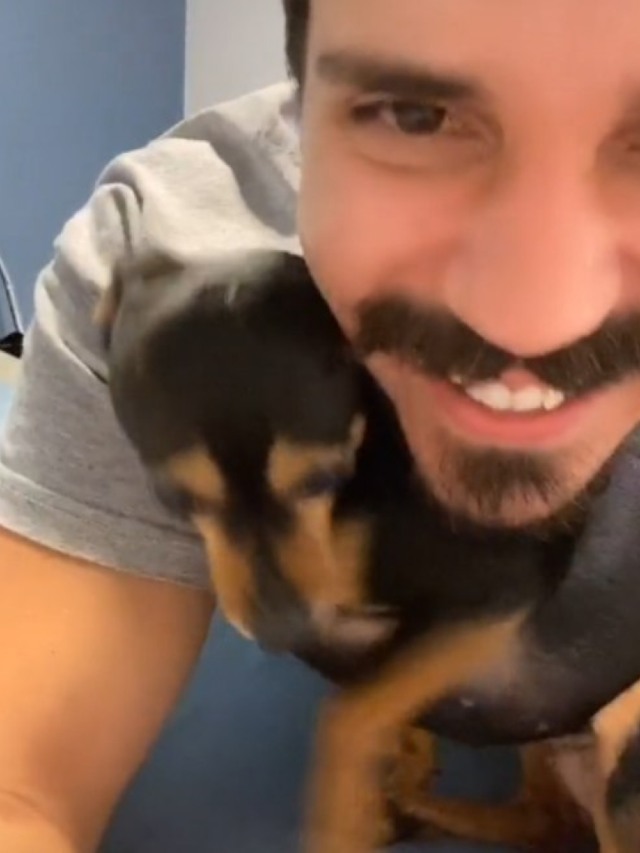 Cadela famosa no Tiktok mostra que nem todo pinscher é o que parece; veja
