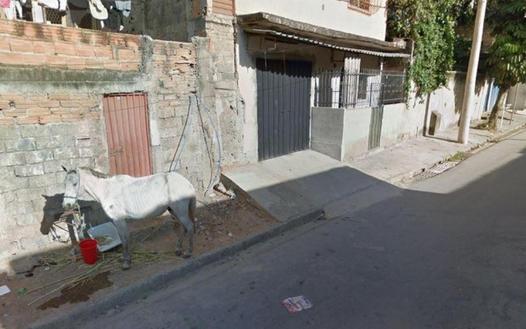 Homem que fingia ser policial civil até para a esposa é preso Homem que fingia ser policial civil até para a esposa é preso