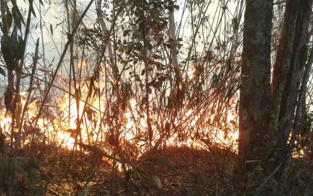Bombeiros combatem fogo na Serra dos Órgãos pelo terceiro dia seguido
