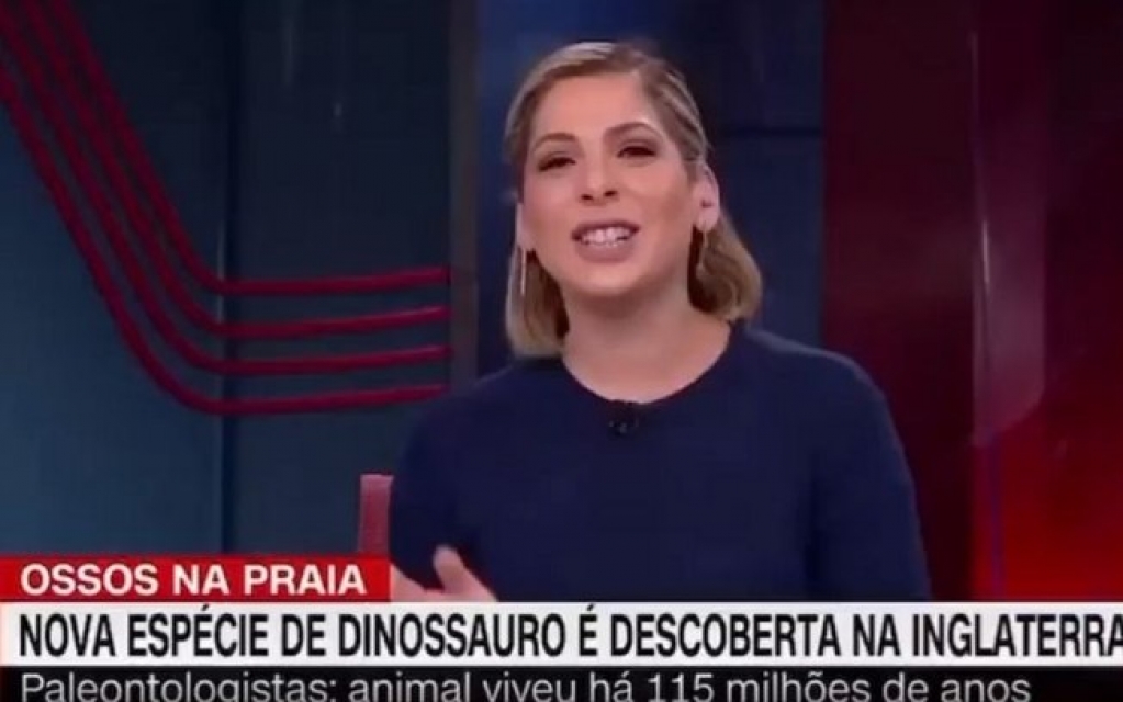 Jornalista da CNN Brasil perde o controle e tem ataque de riso no ar; assista