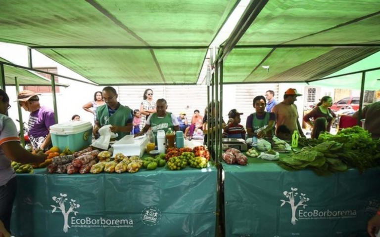 Alimentos são desperdiçados enquanto prefeituras dão merenda industrializada