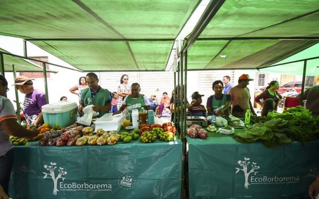 Alimentos são desperdiçados enquanto prefeituras dão merenda industrializada