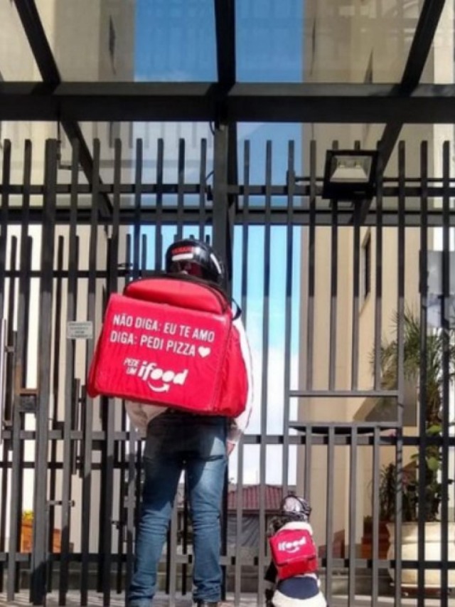 Conheça Ruby, cachorrinha famosa por ajudar motoboy em entregas