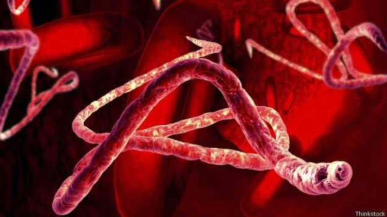 Ebola: epidemia termina no Congo, mas tem evolução rápida em Uganda