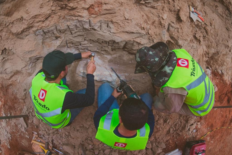 Fósseis encontrados na BR-153 indicam grande dinossauro na região