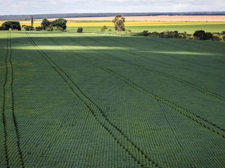 Exportações do agro mineiro batem recorde: 15,6 milhões de toneladas, aumento de 13,3%