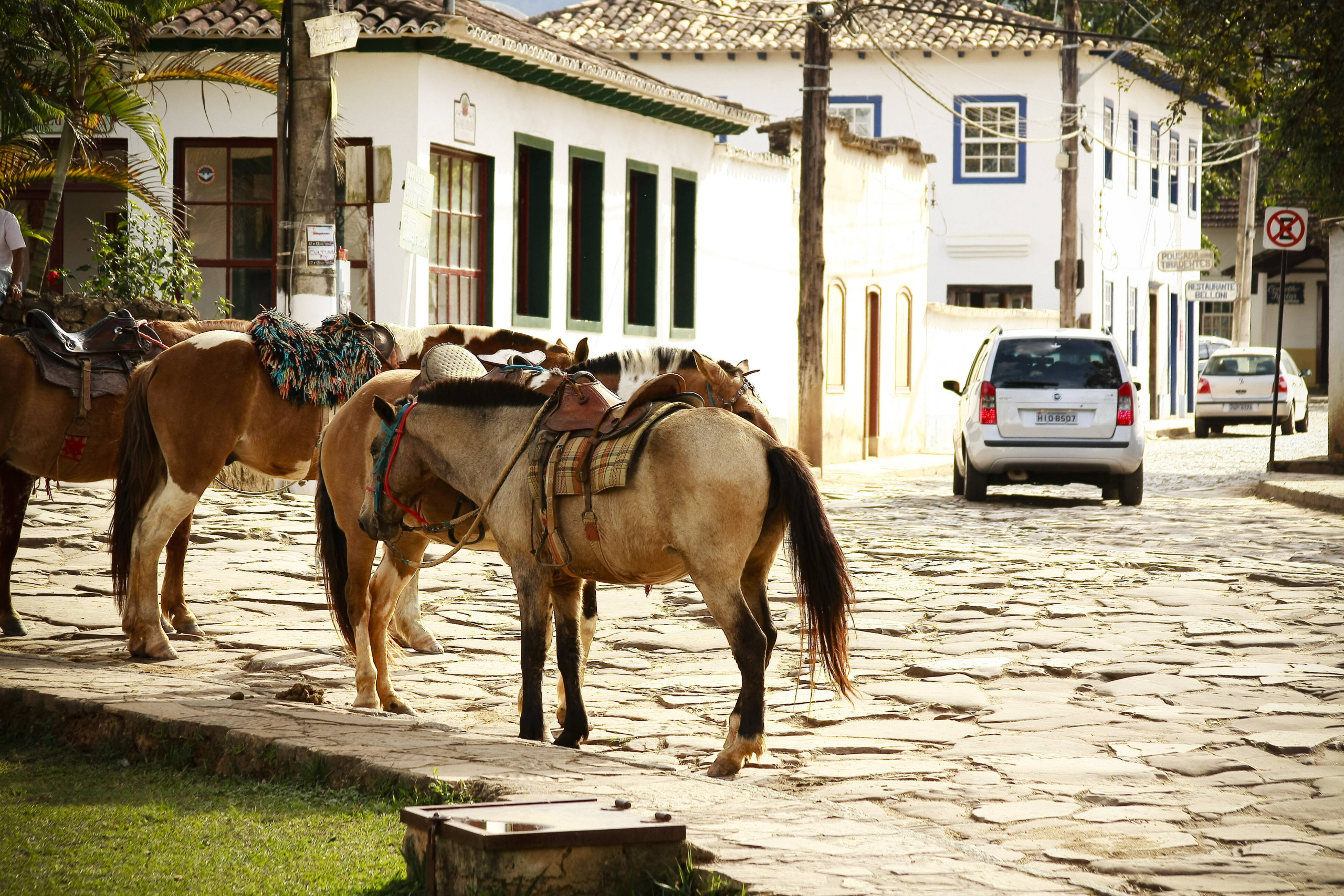 Cavalos na rua são comuns em Tiradentes. Foto: Felipe Carneiro