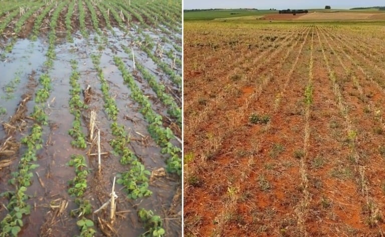 Apesar dos desafios climáticos, analistas preveem um 2024 estável para o agronegócio