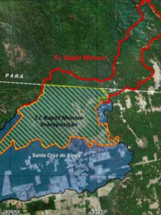 Ação de ONGs internacionais: Governo quer desapropriar mais de 362 mil hectares para abrigar 60 indígena