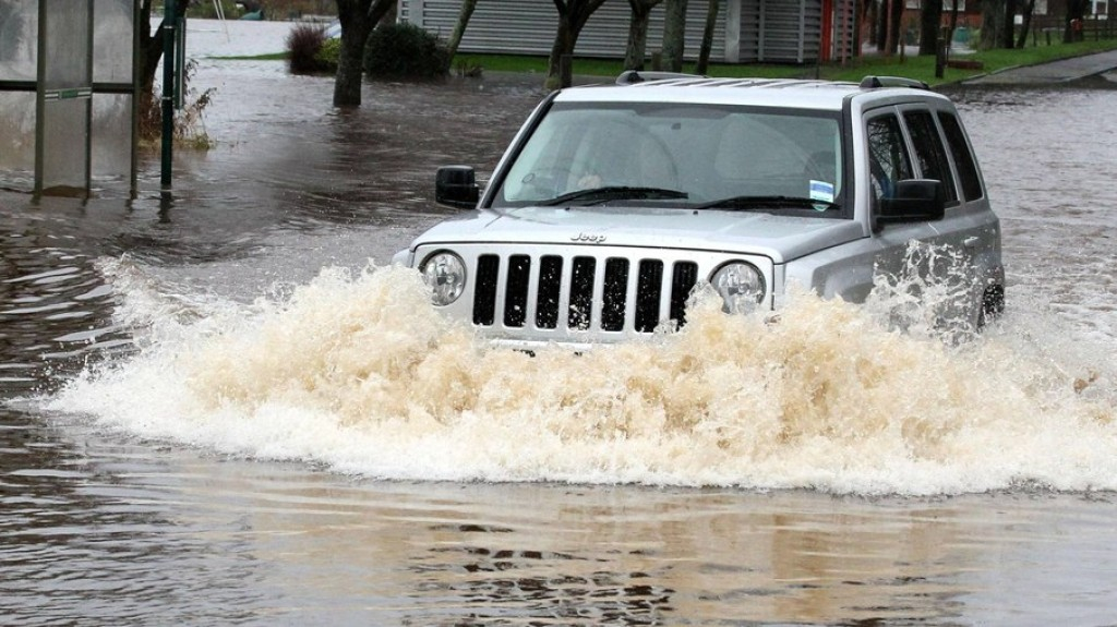 Chuvas de verão: o seguro do carro cobre alagamento e queda de árvores?