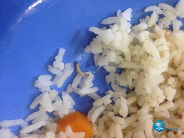 Alunos acham bigato em arroz da merenda na cidade e acende alerta sobre controle