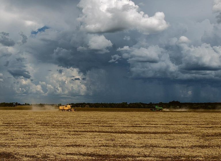 Excesso de chuvas no Sul e seca no Centro-Norte e Nordeste pode prejudicar safra brasileira
