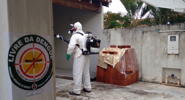 Nebulização de quintais chega à zona norte