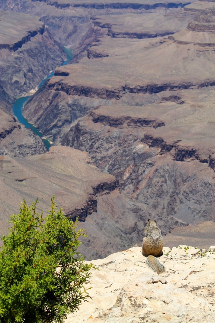 Rafaella Ferraz em viagem pelo Grand Canyon