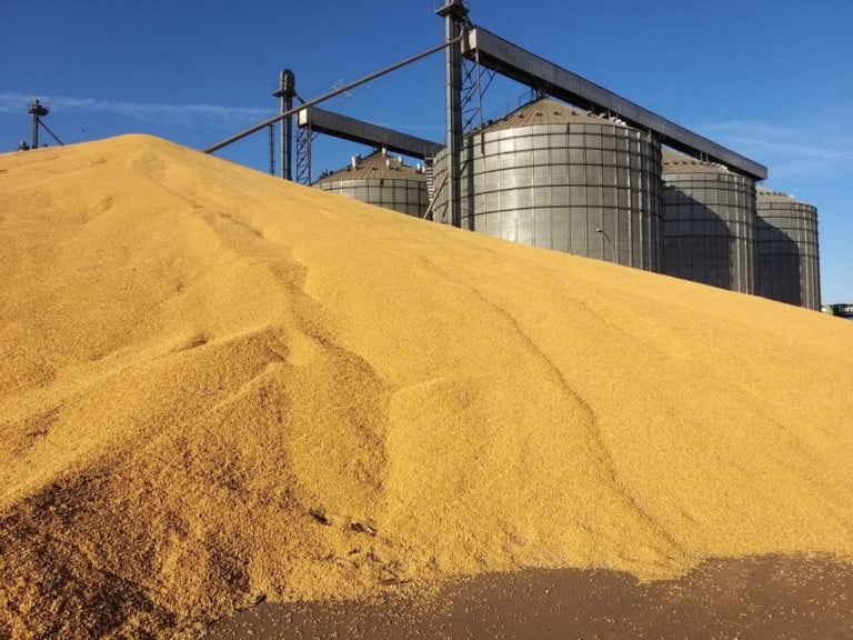 Pesquisa mostra o drama da armazenagem de grãos enfrentado pelo agronegócio