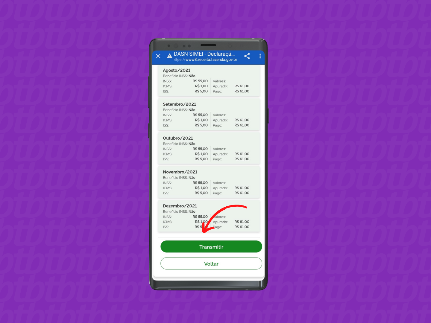 Tela com resumo da Declaração Anual de Faturamento