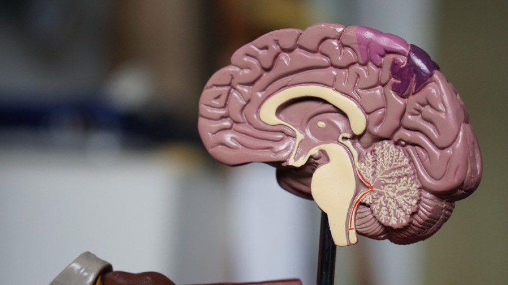 Alzheimer pode apresentar sinais 10 anos antes do diagnóstico Alzheimer pode apresentar sinais 10 anos antes do diagnóstico