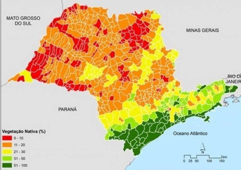 Marília e região são destaques em recuperação de mata nativa; veja dados do Estado