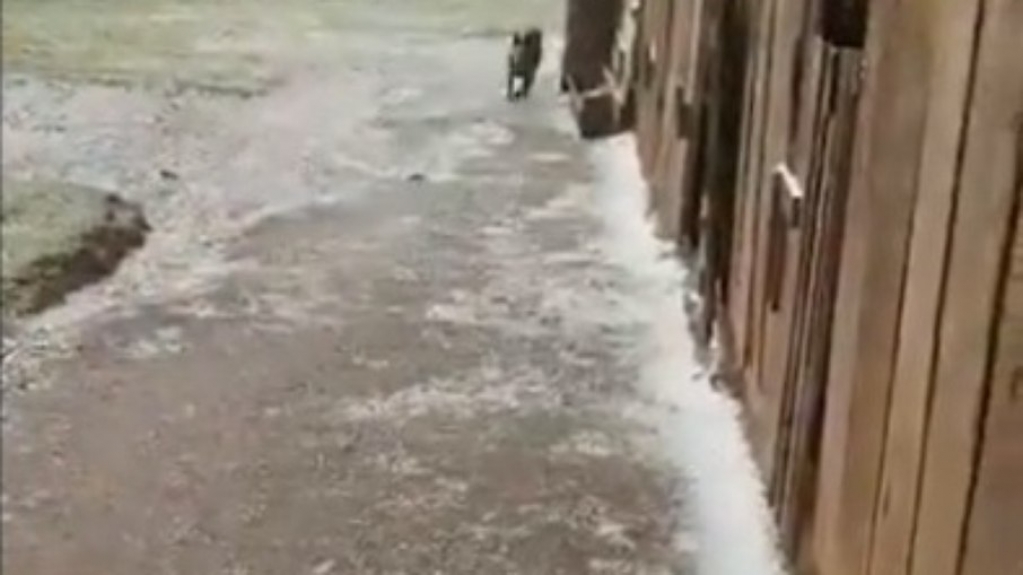 Internautas registram neve em cidades do RS