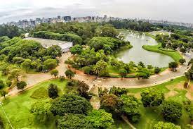 Parque Ibirapuera. Foto: Reprodução