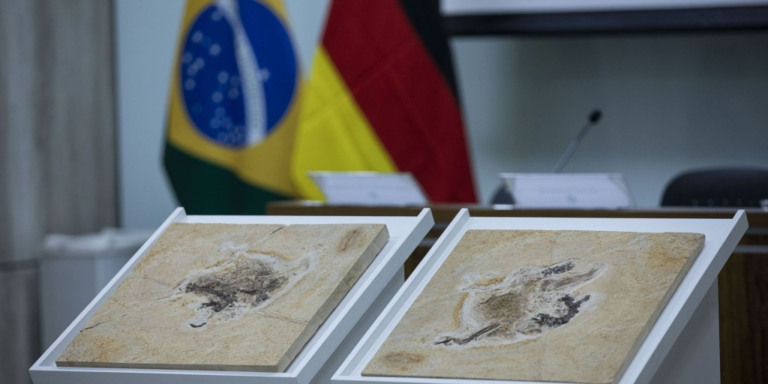 © Joédson Alves/Agência