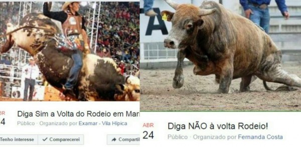 Liberação de rodeios vira polêmica e terá dois protestos em Marília