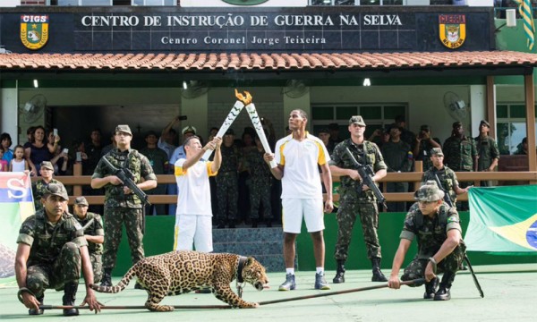 Onça vira atração em desfile da tocha mas é abatida depois