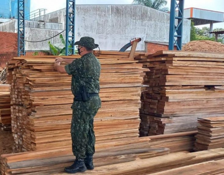 Madeireira da Zona Norte é multada em R$ 22 mil por venda de madeira nativa