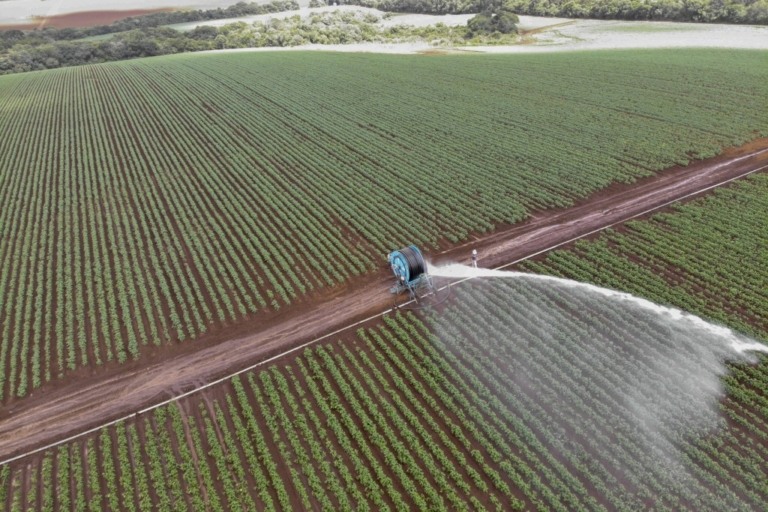 Banco do Agricultor já financiou R$ 646 milhões no Paraná
