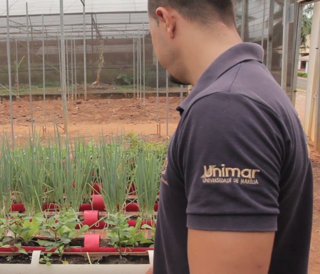 Agronomia da Unimar desenvolve projetos sustentáveis e soluções ambientais