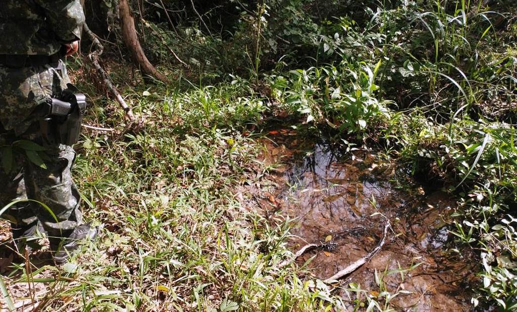 Sítio de Garça é multado por danos à vegetação; criador de aves autuado em Tupã