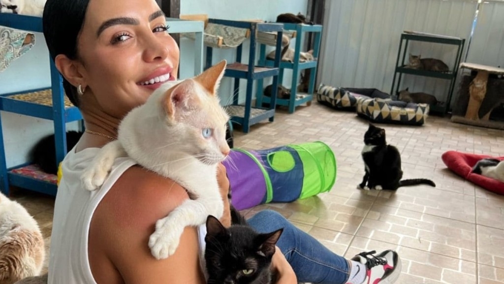 Divulgação Aline Mineiro doa mil peças para bazar beneficente em prol de gatos abandonados