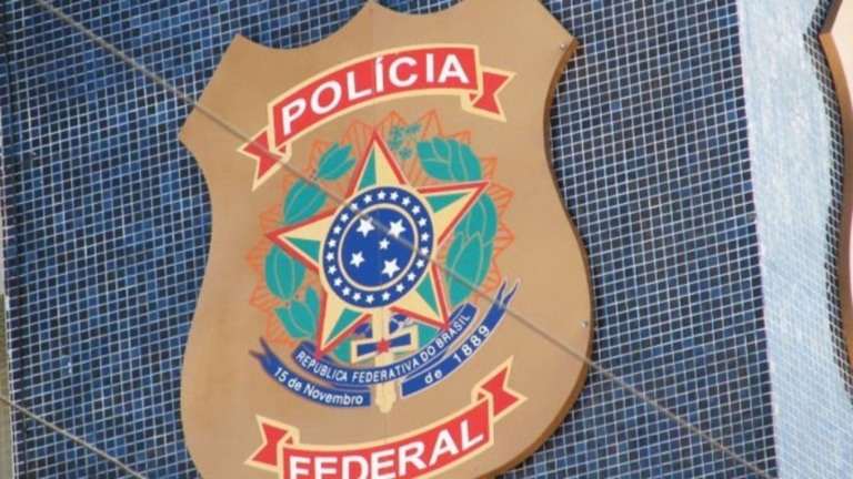 Reprodução: Flipar PF faz operação contra a venda de crianças brasileiras para pessoas da Europa