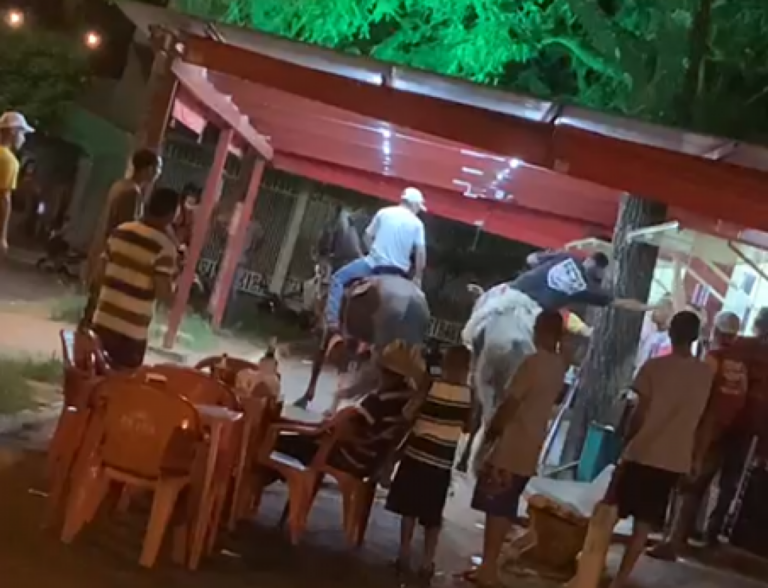 Moradores pedem medidas após agressões, ameaças e carro queimado em Nóbrega, vídeo