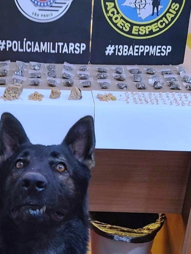 Cão do Baep descobre quase 700 porções de drogas em Ourinhos
