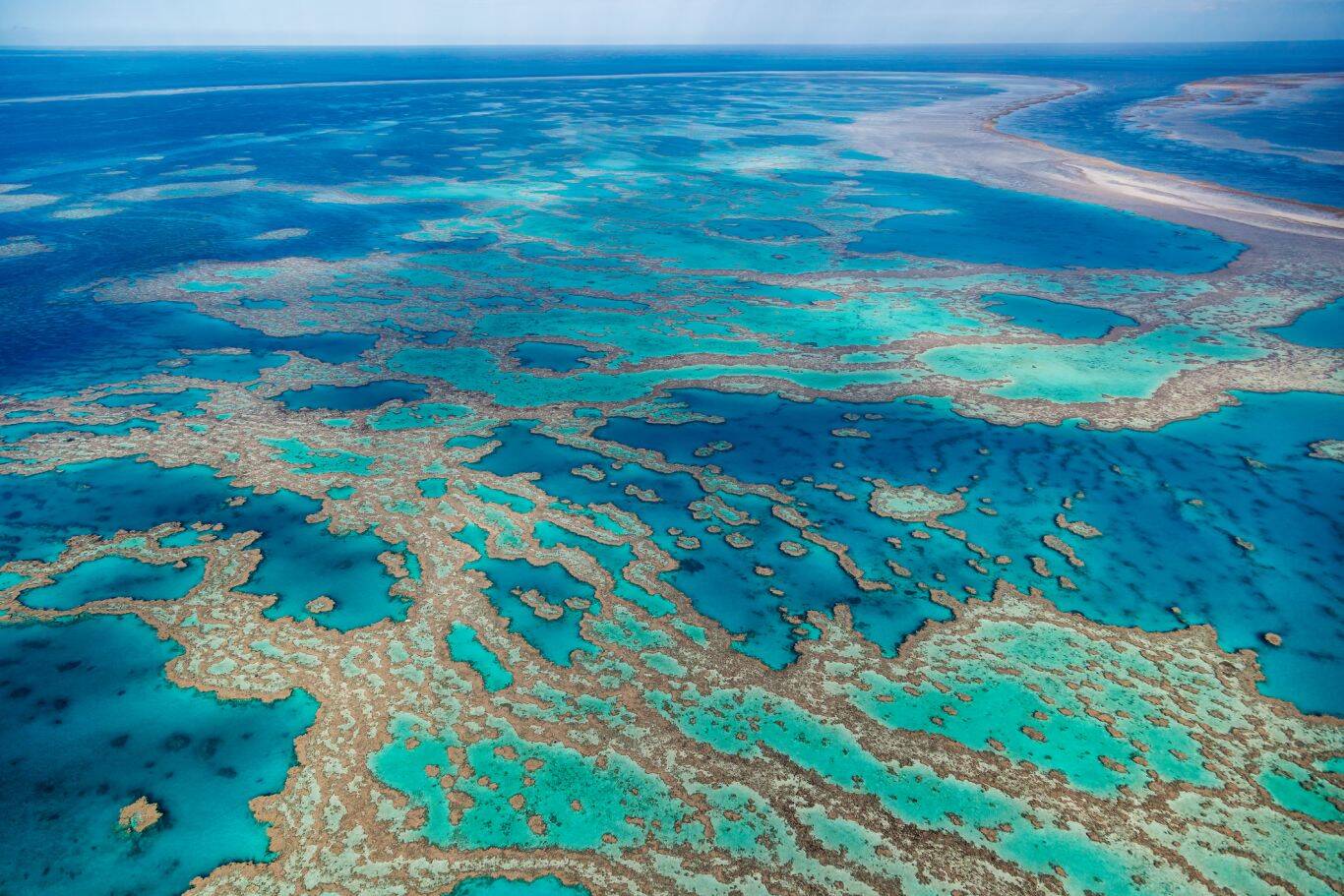 Especialistas temem que investimentos tecnológicos previstos pelo governo australiano não sejam suficientes para proteger a região. Foto: Reprodução