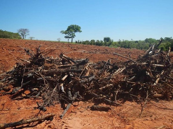 Polícia Ambiental aplica mais de R$ 11 mil em multas