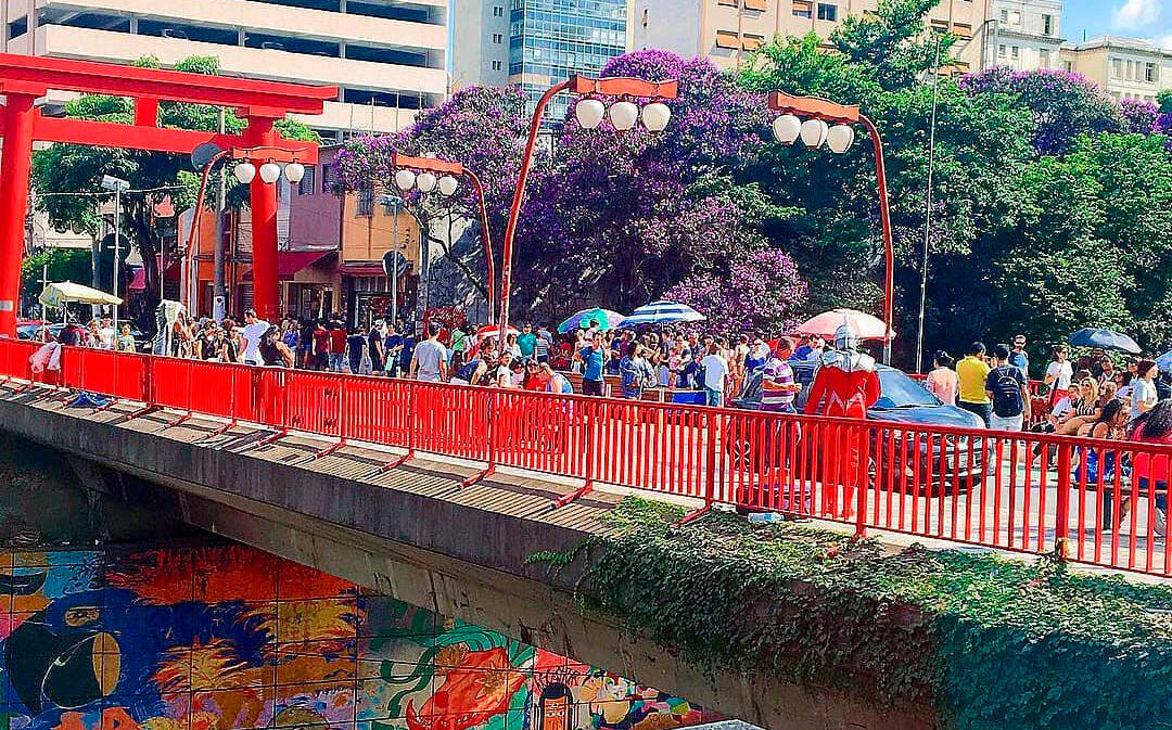 Ponte que passa sobre a Avenida 23 de Maio. Foto: Reprodução/Instagram