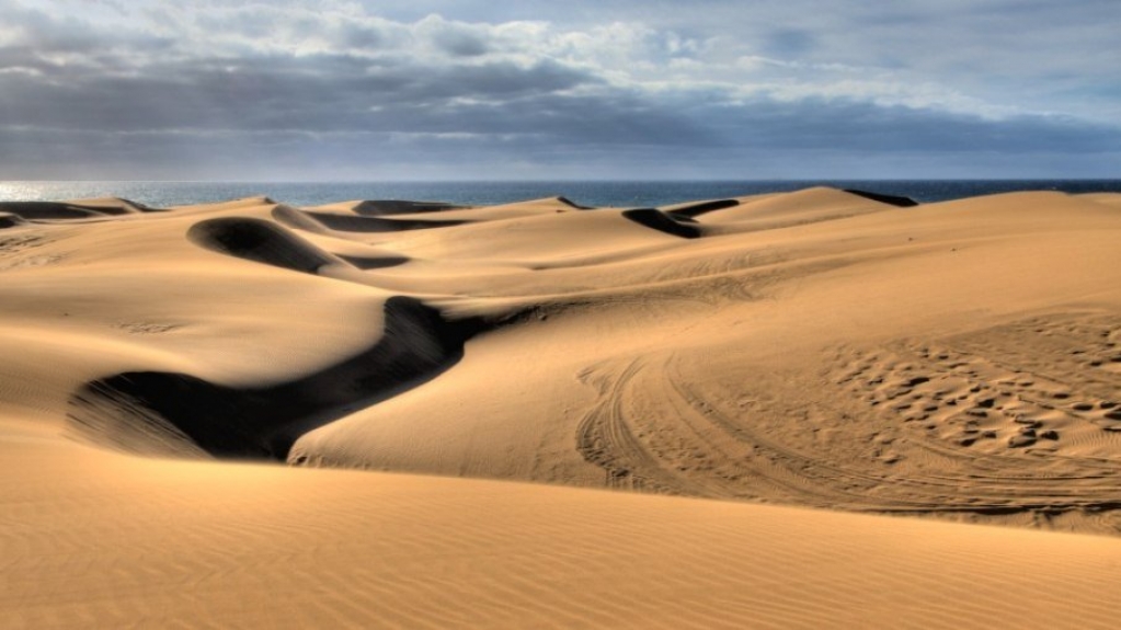 Pontos de sexo estão degradando ecossistema de dunas de ilha espanhola