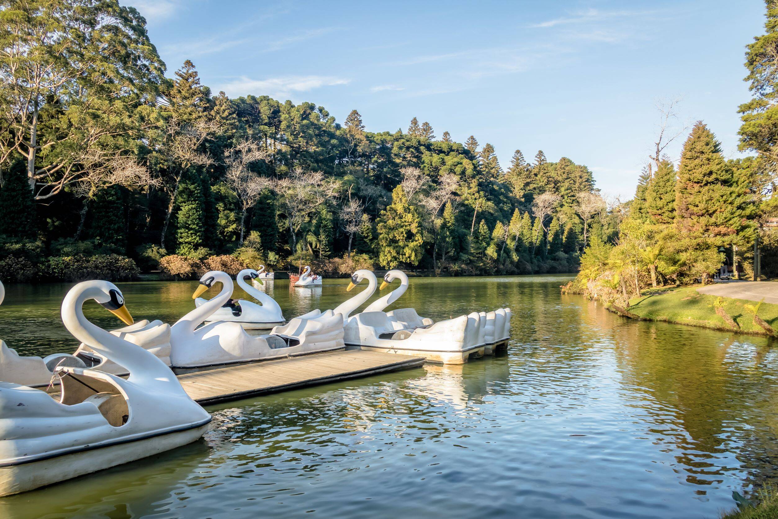 Região do Lago Negro. Foto: Divulgação