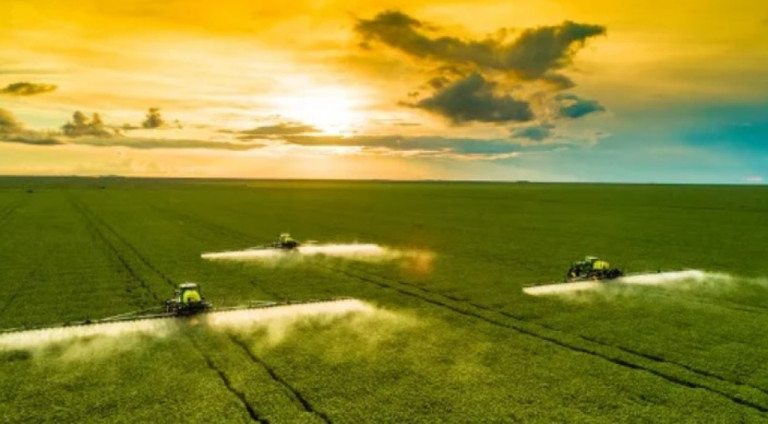 FAO estima que crescimento do agronegócio brasileiro ajuda a frear preços no mundo