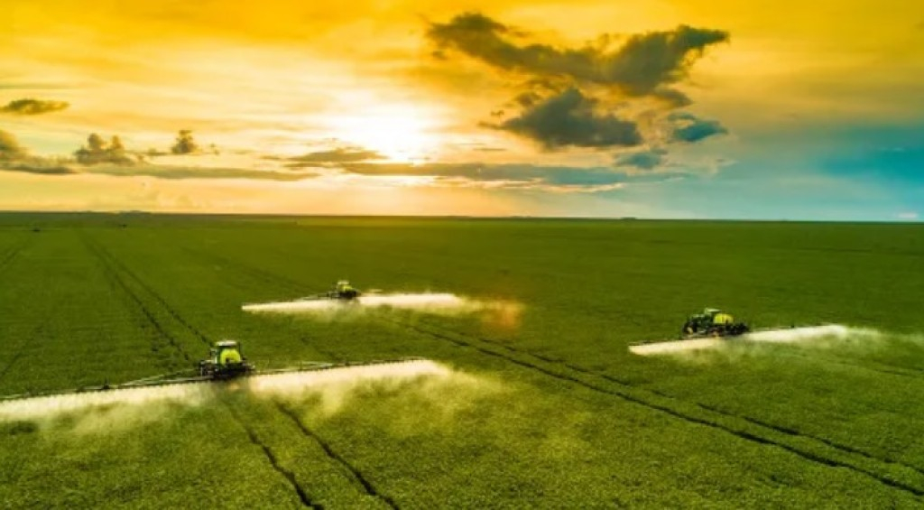 FAO estima que crescimento do agronegócio brasileiro ajuda a frear preços no mundo