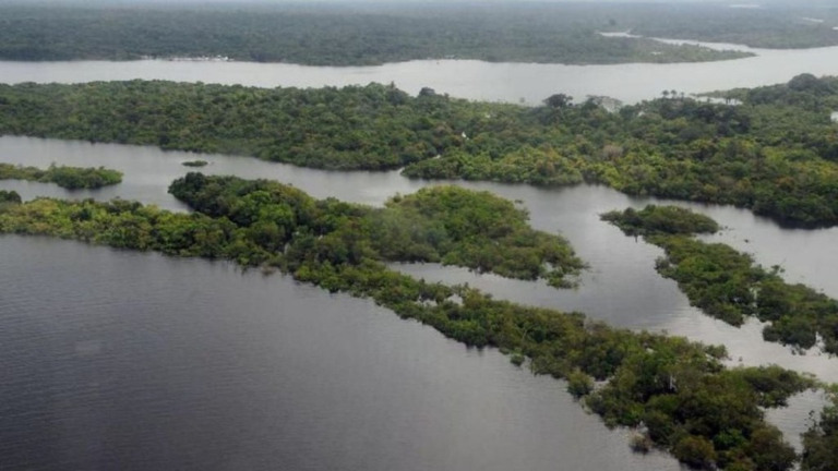 Valter Campanato/Ag. Brasil O Brasil é riquíssimo em recursos naturais e tem em seu território o “pulmão do mundo”, com a Floresta Amazônica, mas o país sofre com o desmatamento ilegal e o garimpo.