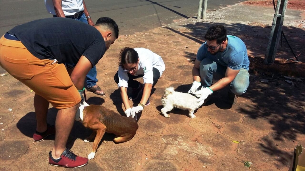 Veterinária da Unimar apoia prefeituras em vacinação contra raiva