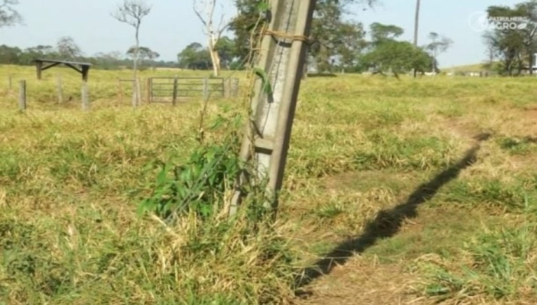 Produtores reclamam de falta de manutenção da eletrificação rural